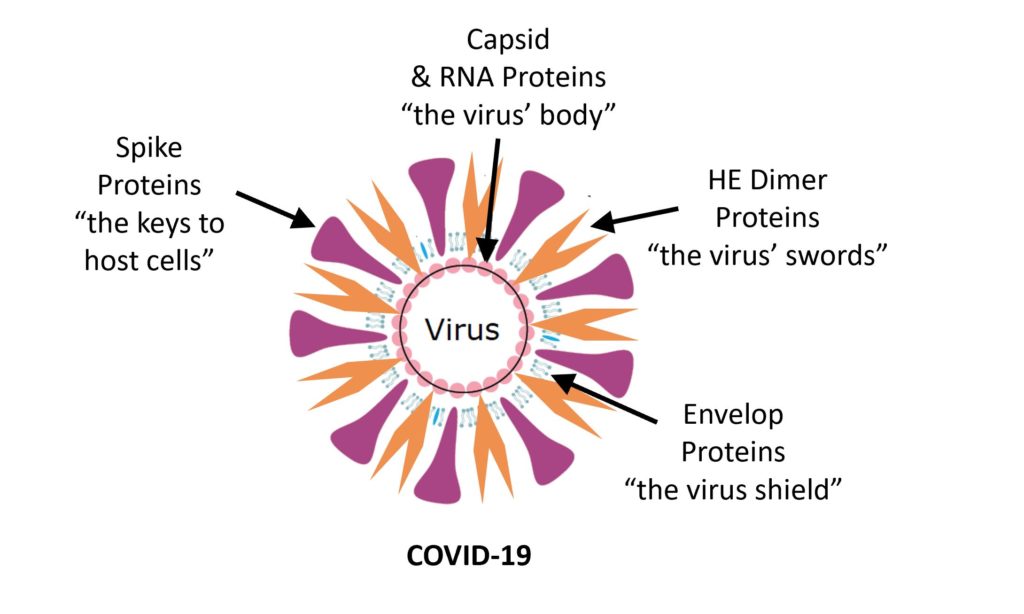 Covid-19
