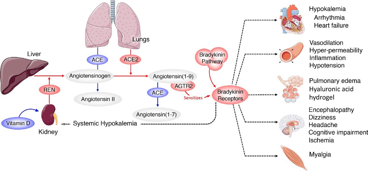 Effects of Covid-19 infection